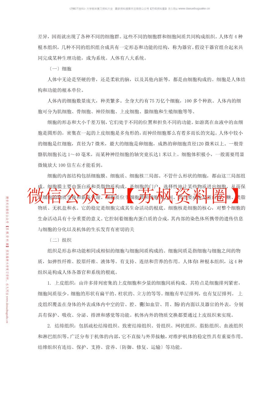 人体形态与结构